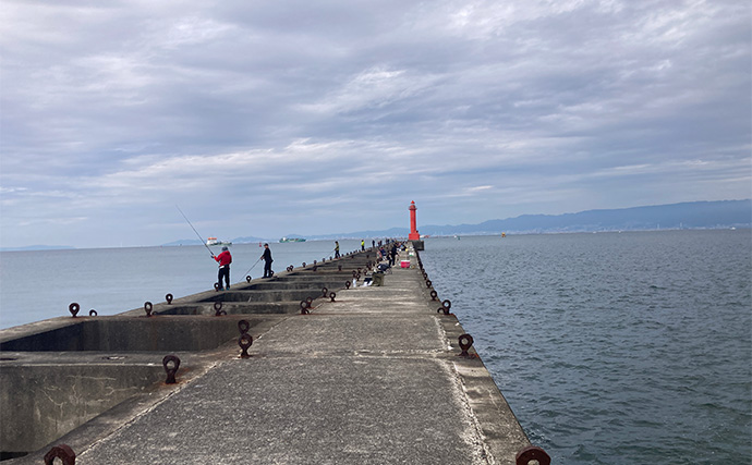 ブレードジグと通常メタルジグを徹底比較　サワラ（サゴシ）が釣れるのはどっち？