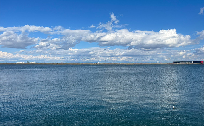 シーバスロッド流用でのルアーマゴチ釣りで45cm本命登場【木曽川河口】