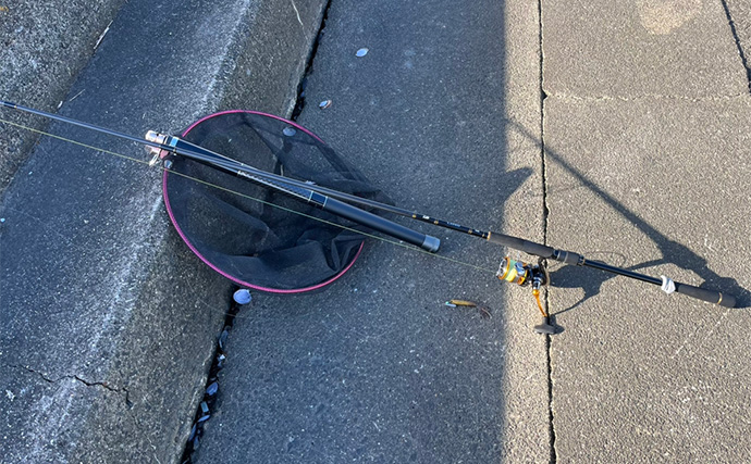 シーバスロッド流用でのルアーマゴチ釣りで45cm本命登場【木曽川河口】