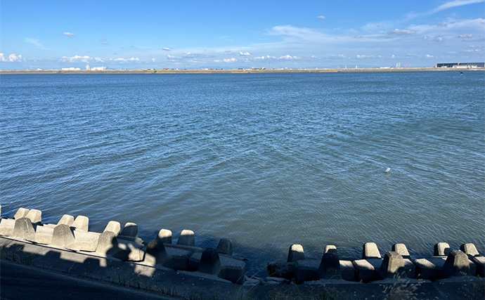 木曽川河口のルアーマゴチ釣りで43cm本命をキャッチ！ 年末までは楽しめそうか