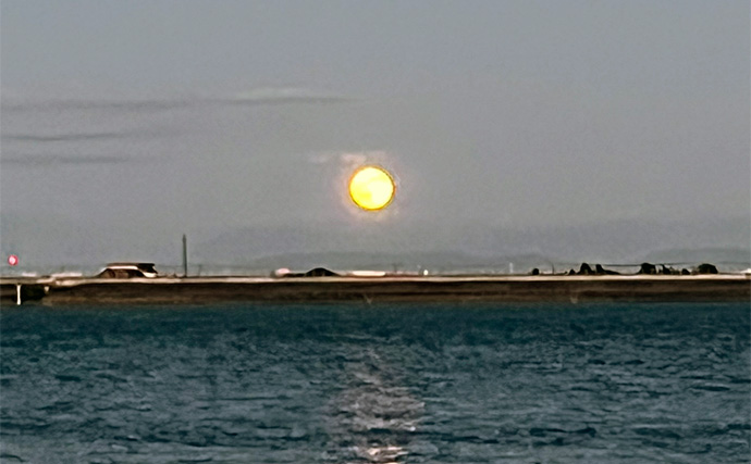 木曽川河口のルアーマゴチ釣りで43cm本命をキャッチ！ 年末までは楽しめそうか