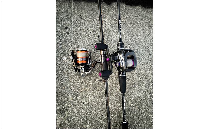 東伊豆のライトゲームでサバ50匹！【静岡】初心者でも即ヒット＆連発を満喫