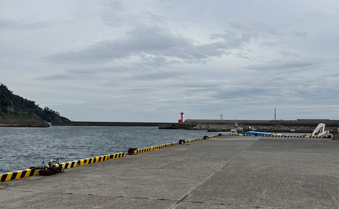 東伊豆のライトゲームでサバ50匹！【静岡】初心者でも即ヒット＆連発を満喫