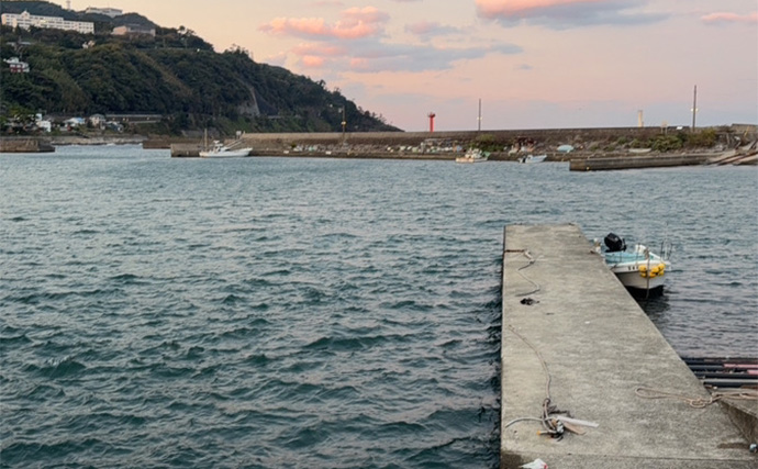 東伊豆のライトゲームでサバ50匹！【静岡】初心者でも即ヒット＆連発を満喫