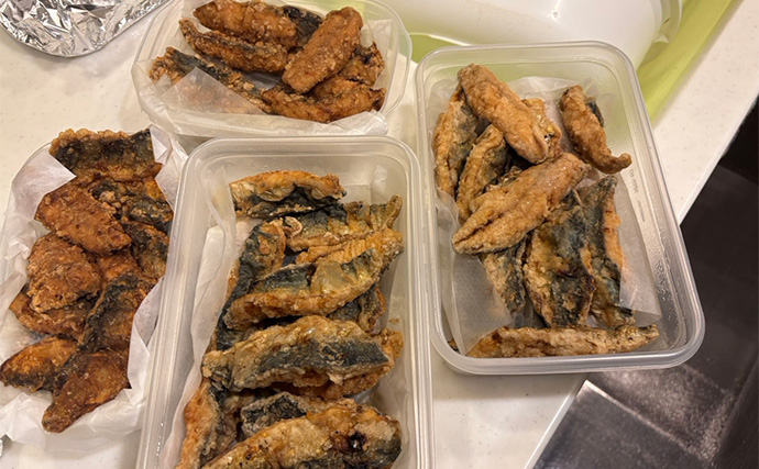 東伊豆のライトゲームでサバ50匹！【静岡】初心者でも即ヒット＆連発を満喫