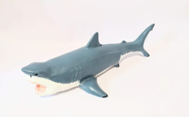 古代の巨大ザメ＜メガロドン＞の生存を脅かした古代生物　全長10m超のラ…