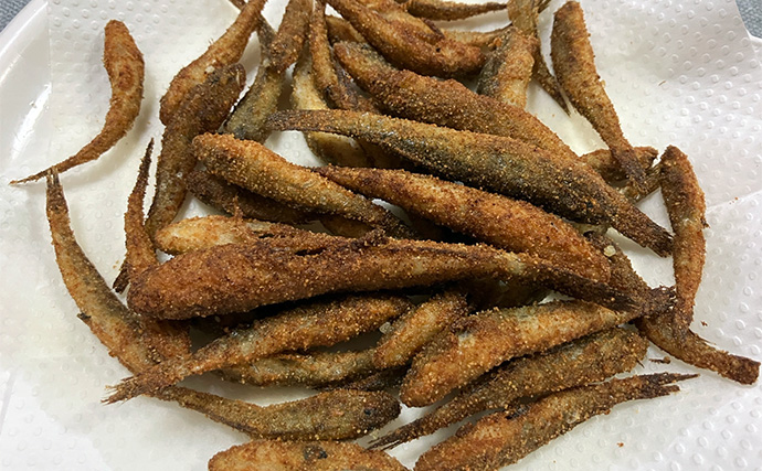 「雨で釣り場が貸切状態！」江戸川放水路のチョイ投げ釣りでハゼ137匹手中【千葉】