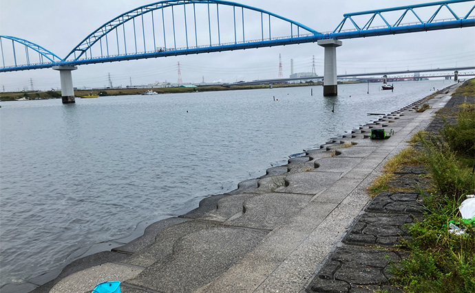 「雨で釣り場が貸切状態！」江戸川放水路のチョイ投げ釣りでハゼ137匹手中【千葉】