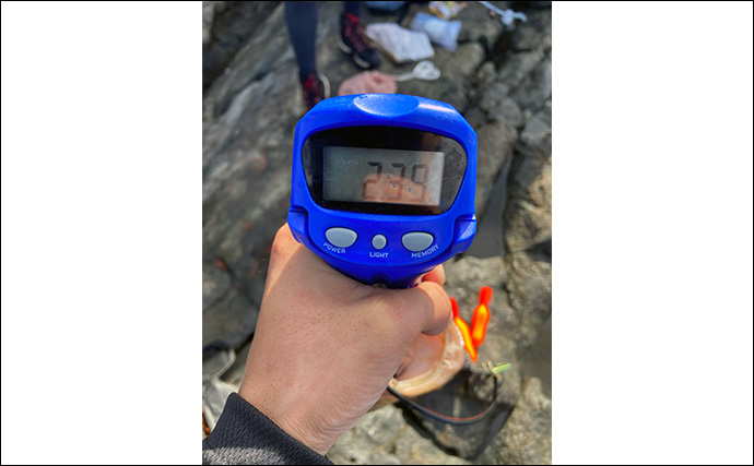 夜の磯釣りで2.4kgクエ浮上【山口】エサ取りが消えたタイミングで本命ヒット！