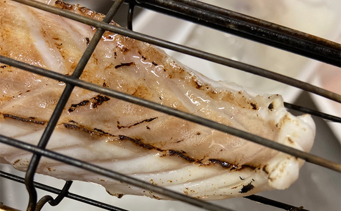 夜の磯釣りで2.4kgクエ浮上【山口】エサ取りが消えたタイミングで本命ヒット！