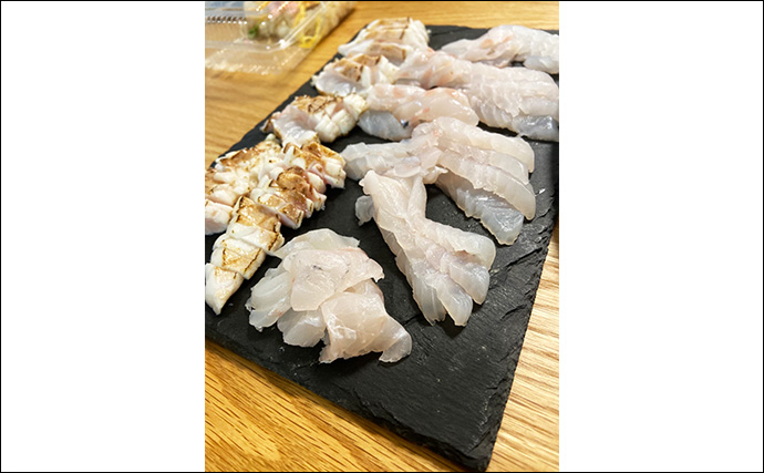 夜の磯釣りで2.4kgクエ浮上【山口】エサ取りが消えたタイミングで本命ヒット！