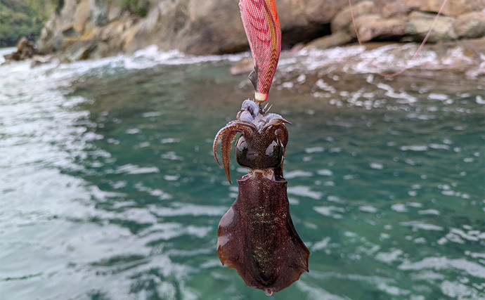 爆風の日本海エギングでアオリイカ5杯【福井】底ベタ徹底攻略で繊細アタリを拾う