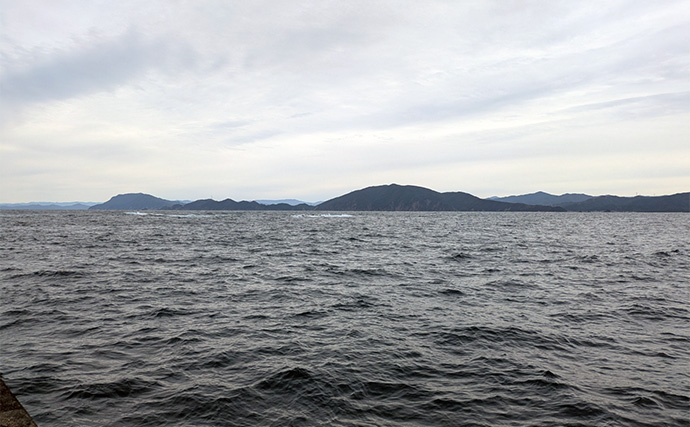 爆風の日本海エギングでアオリイカ5杯【福井】底ベタ徹底攻略で繊細アタリを拾う