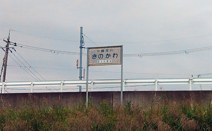 メジャーフィールド「紀の川」でバスフィッシング堪能【和歌山】50cm級バスを狙い撃つ！