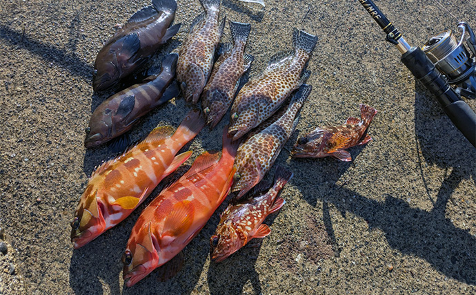 ラン＆ガンルアーゲームで6魚種＆良型ガシラ27cmを手中【三重】根魚30匹超えの充実釣果に