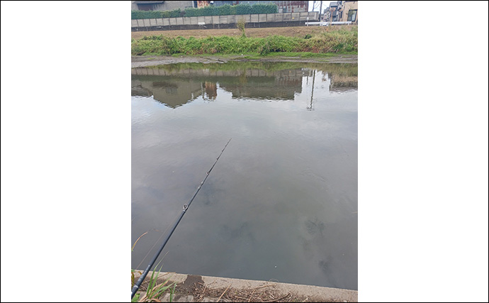 スプーンを巻くだけでブラックバス6匹釣れた！【埼玉・古利根川】秋は巻きで釣れ