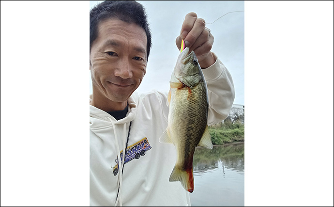 スプーンを巻くだけでブラックバス6匹釣れた！【埼玉・古利根川】秋は巻きで釣れ