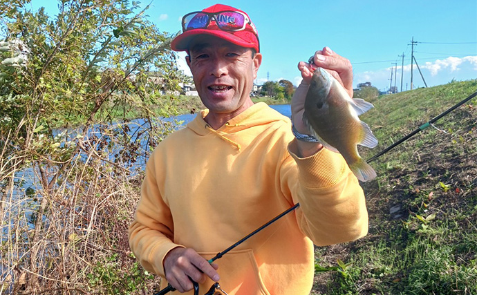 スプーンを巻くだけでブラックバス6匹釣れた！【埼玉・古利根川】秋は巻きで釣れ