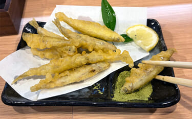 釣り人的【秋に美味しい魚介類】　旬の美味しさも釣ってたべればなお一層？