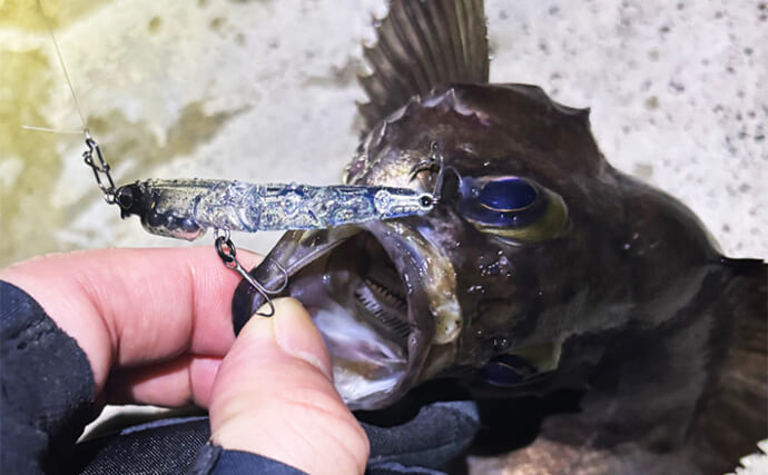 意外と知らないルアー釣りの基本：シングルフックとトレブルフックって何が違うの？