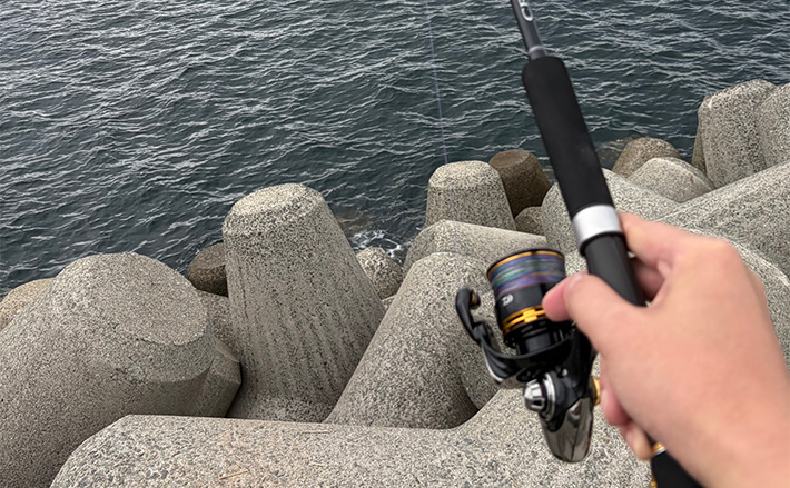 実は多彩な釣り物に流用可能！」ライトショアジギング（LSJ）タックル 
