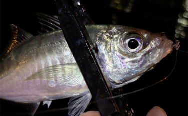 「ミスキャストを自動で補正？」 未来のリールに付いたら嬉しい機能を妄想…