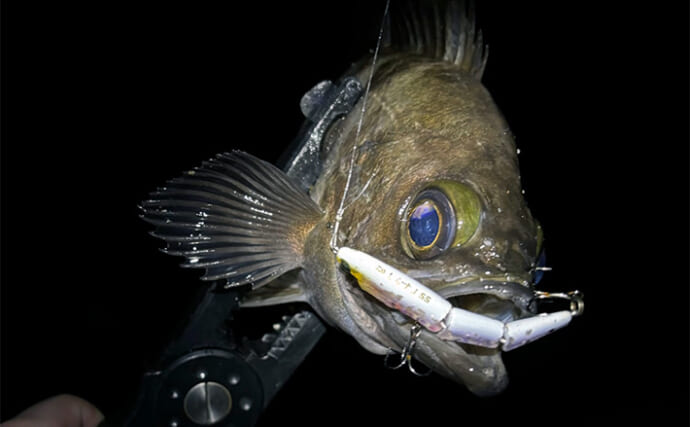 「あなたが好きなのはどの釣り？」 海の陸っぱり釣りにおける【3大スタイル】