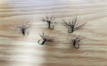 「自作毛鉤で挑む初テンカラ釣り！」千早川マス釣り場でニジマス5匹キャッ…