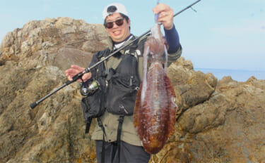 Slider 121619 – image