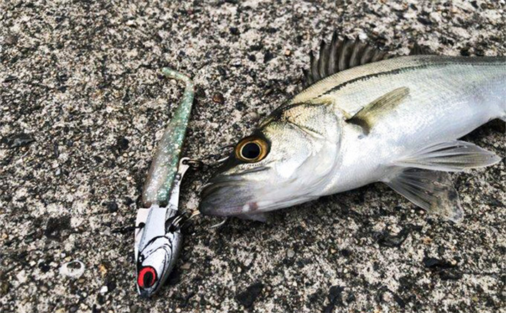 a11b4bb3ba448d1fa402ac3dc62cc9