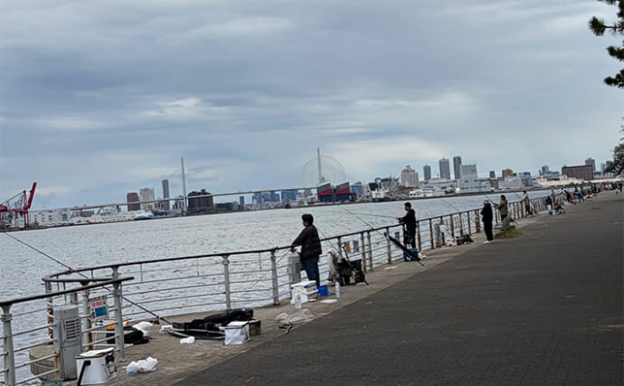 シーサイドコスモでのサゴシゲームで大苦戦【大阪】連日の人的プレッシャーが原因？