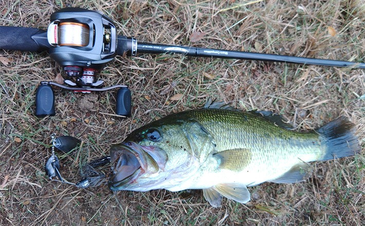 まとめ売り　ラバージグ 25個セット　バス釣り　バス　フィッシング メジャーフィールド「紀の川」でバスフィッシング堪能【和歌山】50cm級