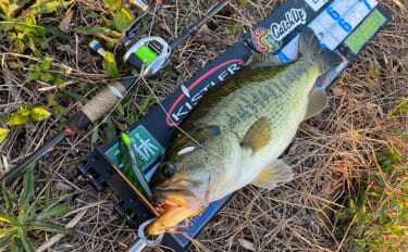 「釣り場でとく見かけるけど意味あるの？」 ベイトリールをロングハンドル…