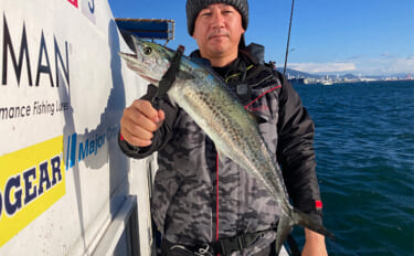 ブレードジグと通常メタルジグを徹底比較　サワラ（サゴシ）が釣れるのはど…