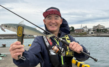 東伊豆のライトゲームでサバ50匹！【静岡】初心者でも即ヒット＆連発を満…