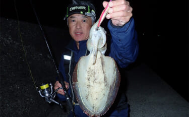 堤防から1kg級モンゴウイカ手中！【熊本】派手なシャクリからの長めステ…