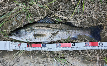 隣の人は釣れているのに自分だけが釣れない不思議　腕だけじゃない3つの理…