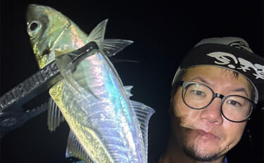 アジングで31cm頭に良型アジ2桁釣果【熊本・天草】キャロとジグ単の使…
