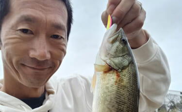 スプーンを巻くだけでブラックバス6匹釣れた！【埼玉・古利根川】秋は巻き…