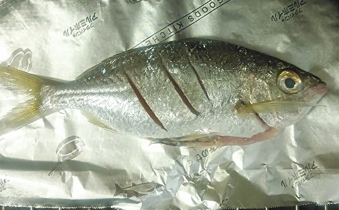 釣魚で作る「シンプル」レシピ：クロサギの素焼き　ポン酢を少し垂らして