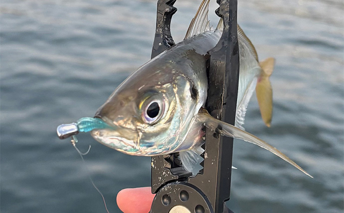 「あなたが好きなのはどの釣り？」 海の陸っぱり釣りにおける【3大スタイル】