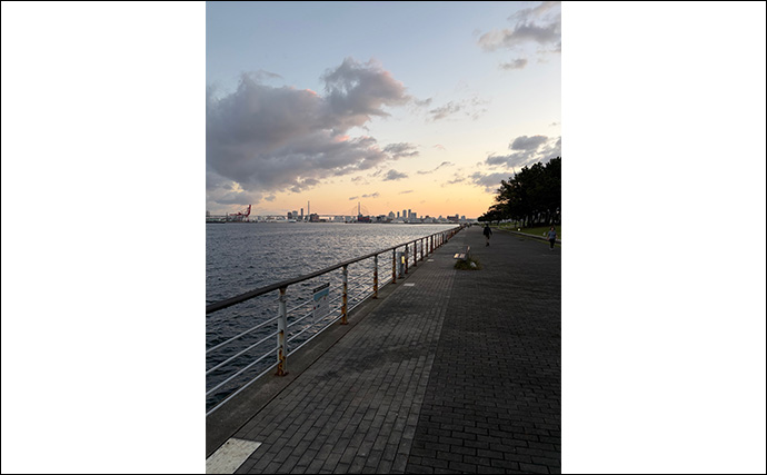 陸っぱりルアー釣りは朝と夕方どちらが楽しめる？　初心者こそ朝マヅメを推奨