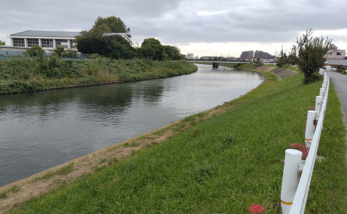 「食わないボイルが多発！」 バイブレーション早巻きで50cm超えクロダイ浮上