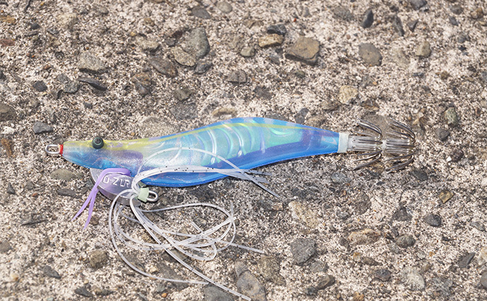 「まさにエギングパラダイス！」DUELのエギ4種を駆使して良型アオリイカ捕獲成功【天草】