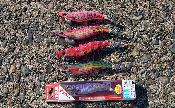 「まさにエギングパラダイス！」DUELのエギ4種を駆使して良型アオリイカ捕獲成功【天草】