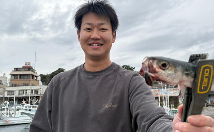 東伊豆のライトゲームでサバ50匹！【静岡】初心者でも即ヒット＆連発を満喫