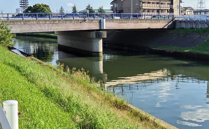 「条件が良すぎて苦戦？」村田川シーバス釣行で50cm級本命をキャッチ【千葉】