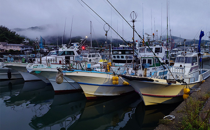 五ヶ所湾ボートエギング大会に参戦【三重】ウネリに苦戦も優勝者はアオリ11杯