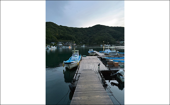 海上釣り堀を仲間で貸し切って堪能【三重・和光】青物とマダイと対面成功！