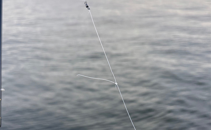 泉大津でのショアジギング釣行で無限サバ祭り【大阪】サゴシは不発